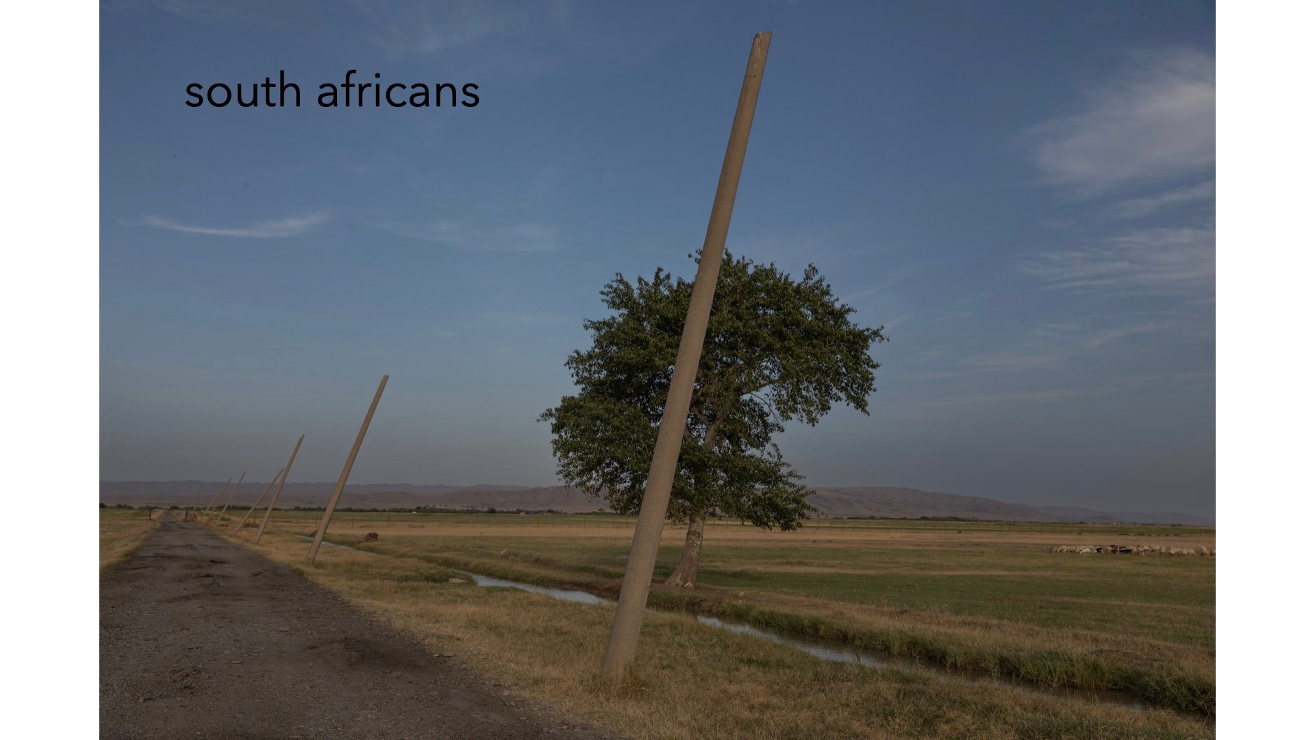 Continental Drift - Africans in Georgia