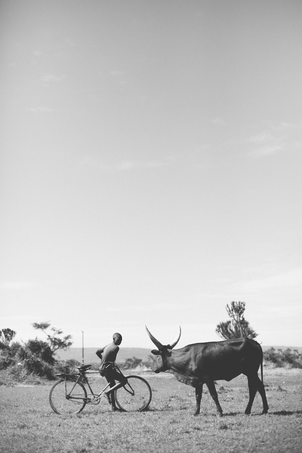 Cambia Health Uganda