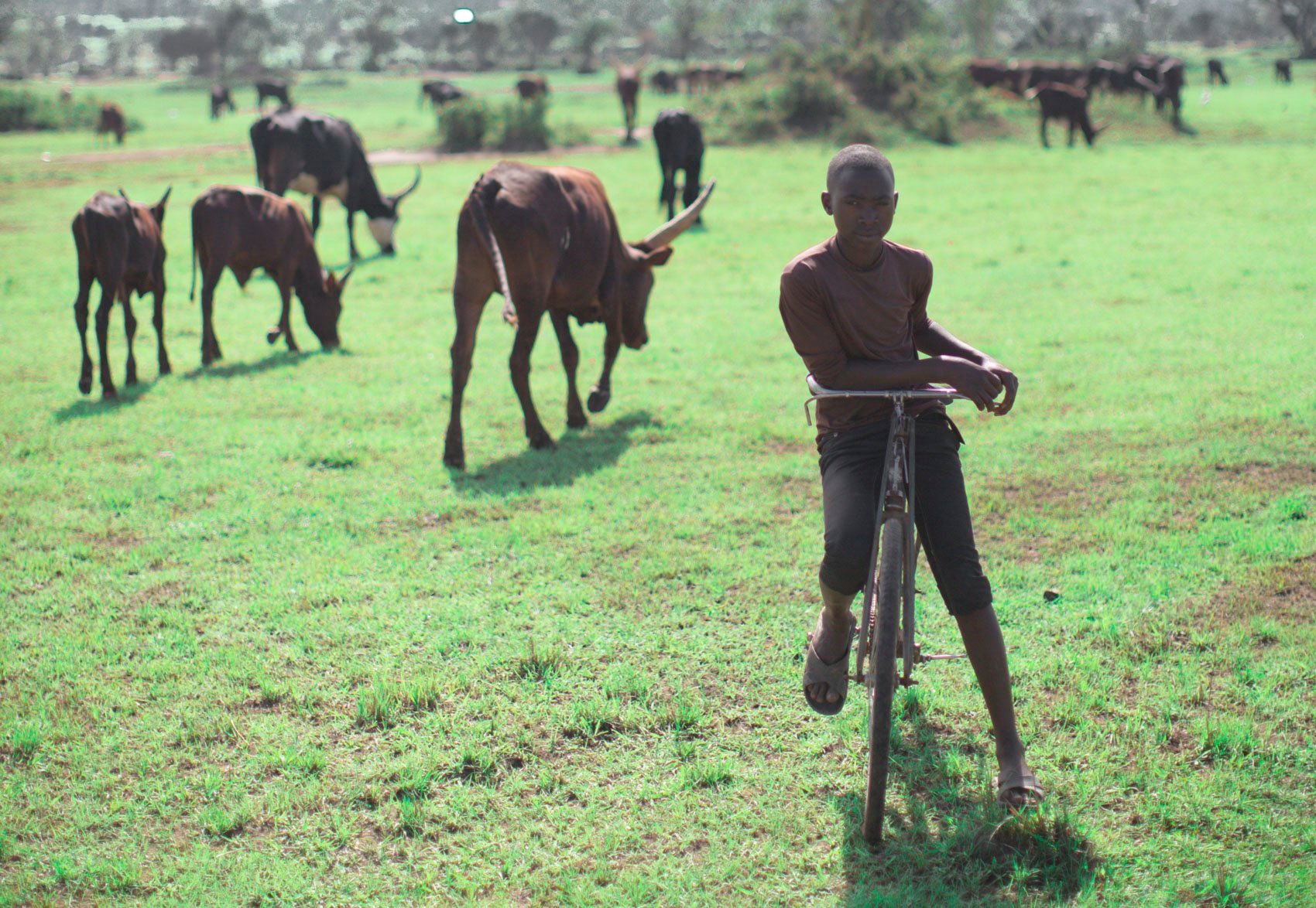 Cambia Health Uganda