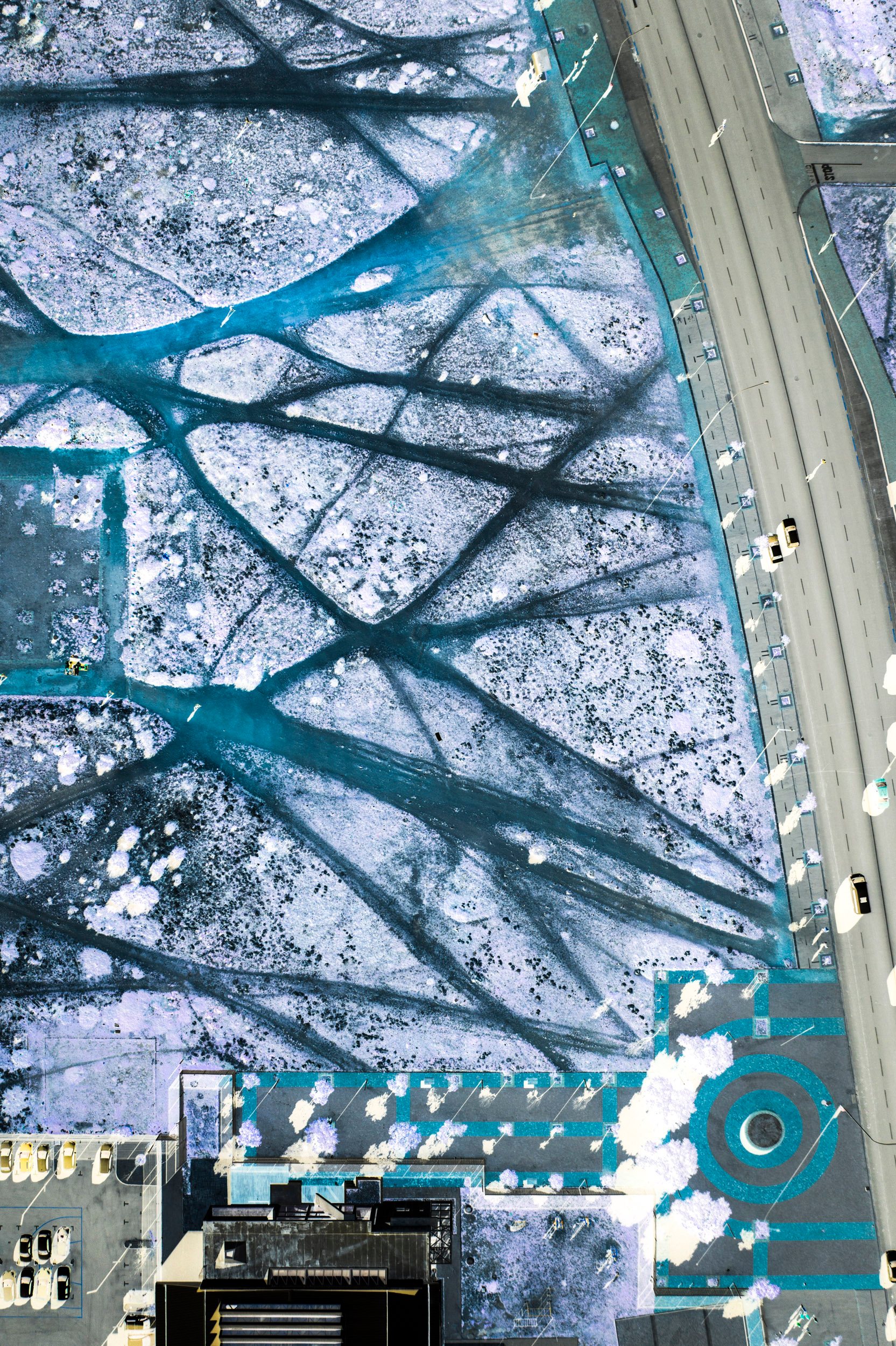 Desire Paths
