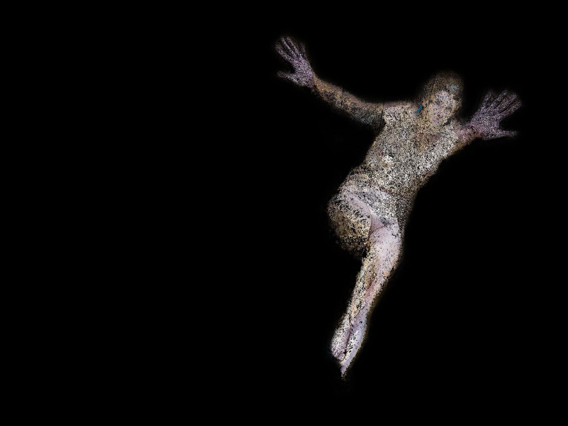 Human Scan