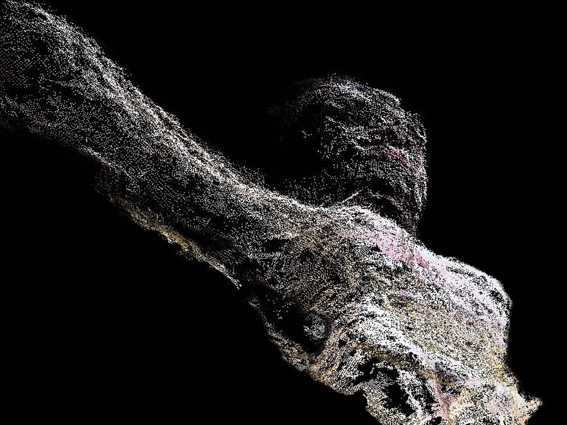 Human Scan
