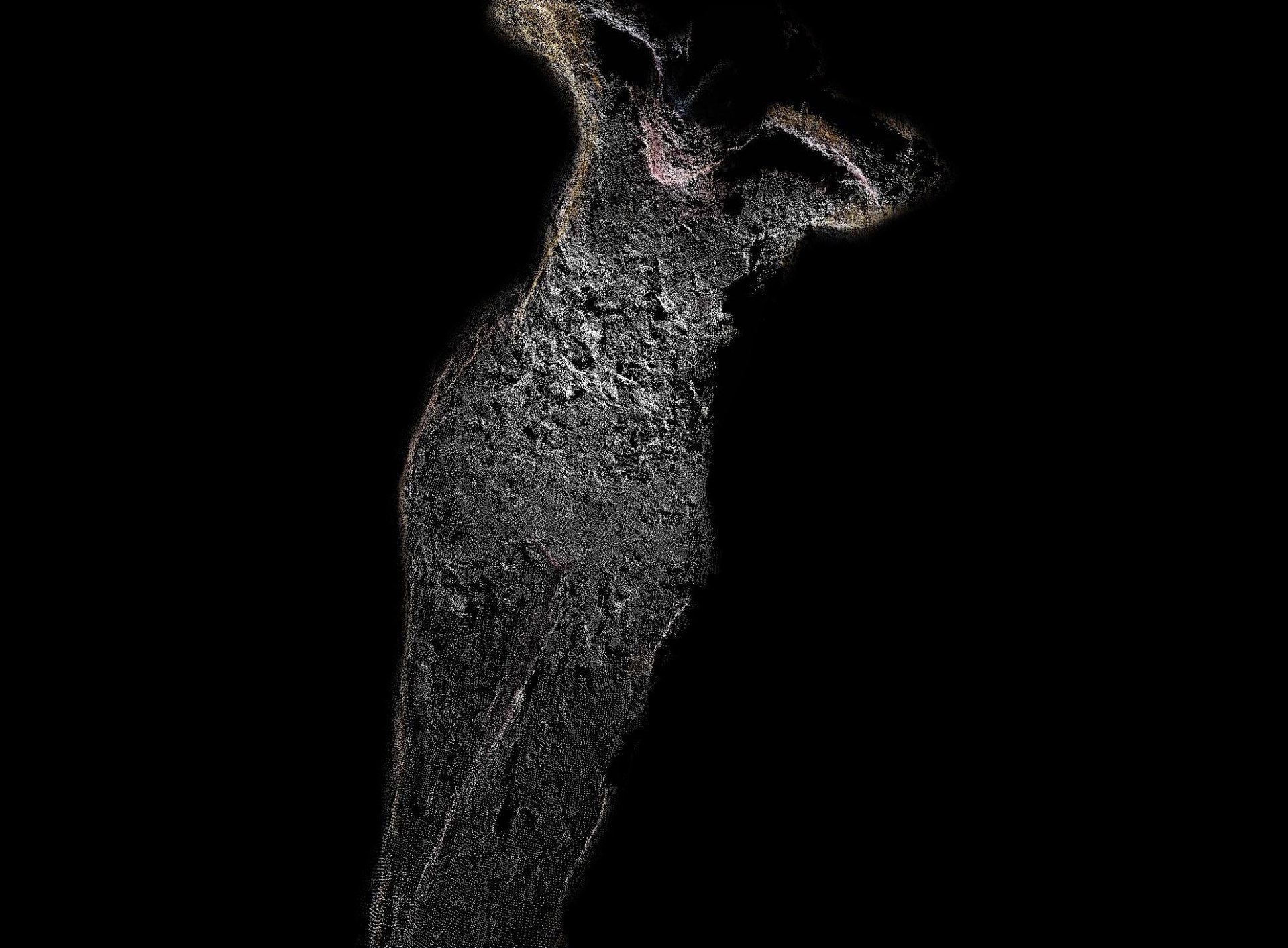 Human Scan