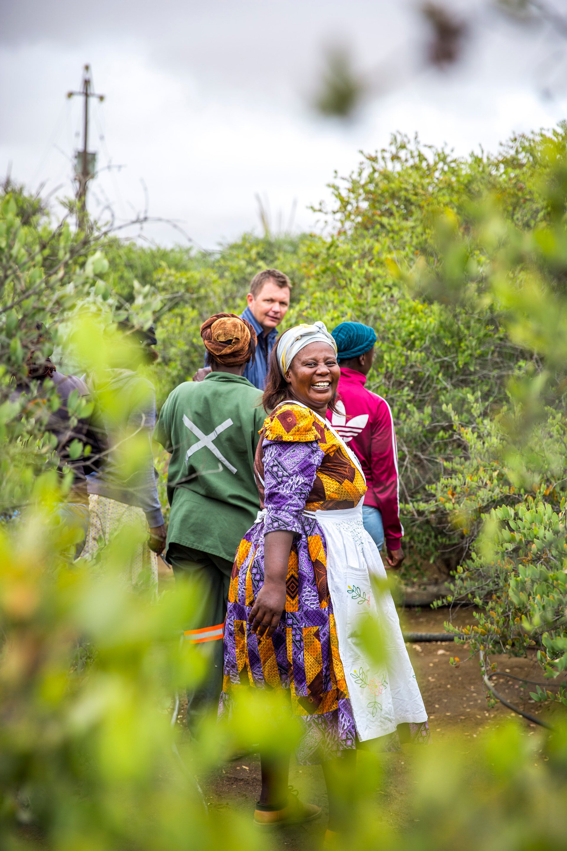Jojoba for Namibia