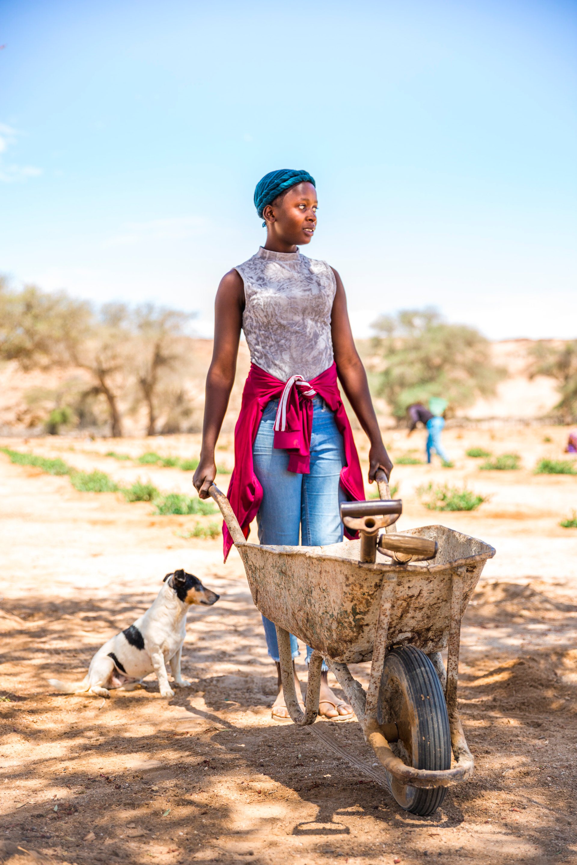 Jojoba for Namibia