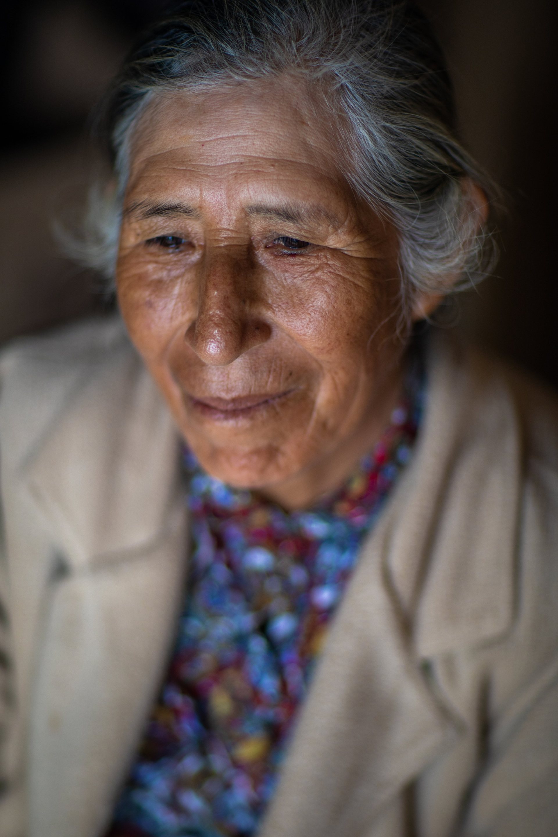 Portrait of Enedina Soto, Lima.