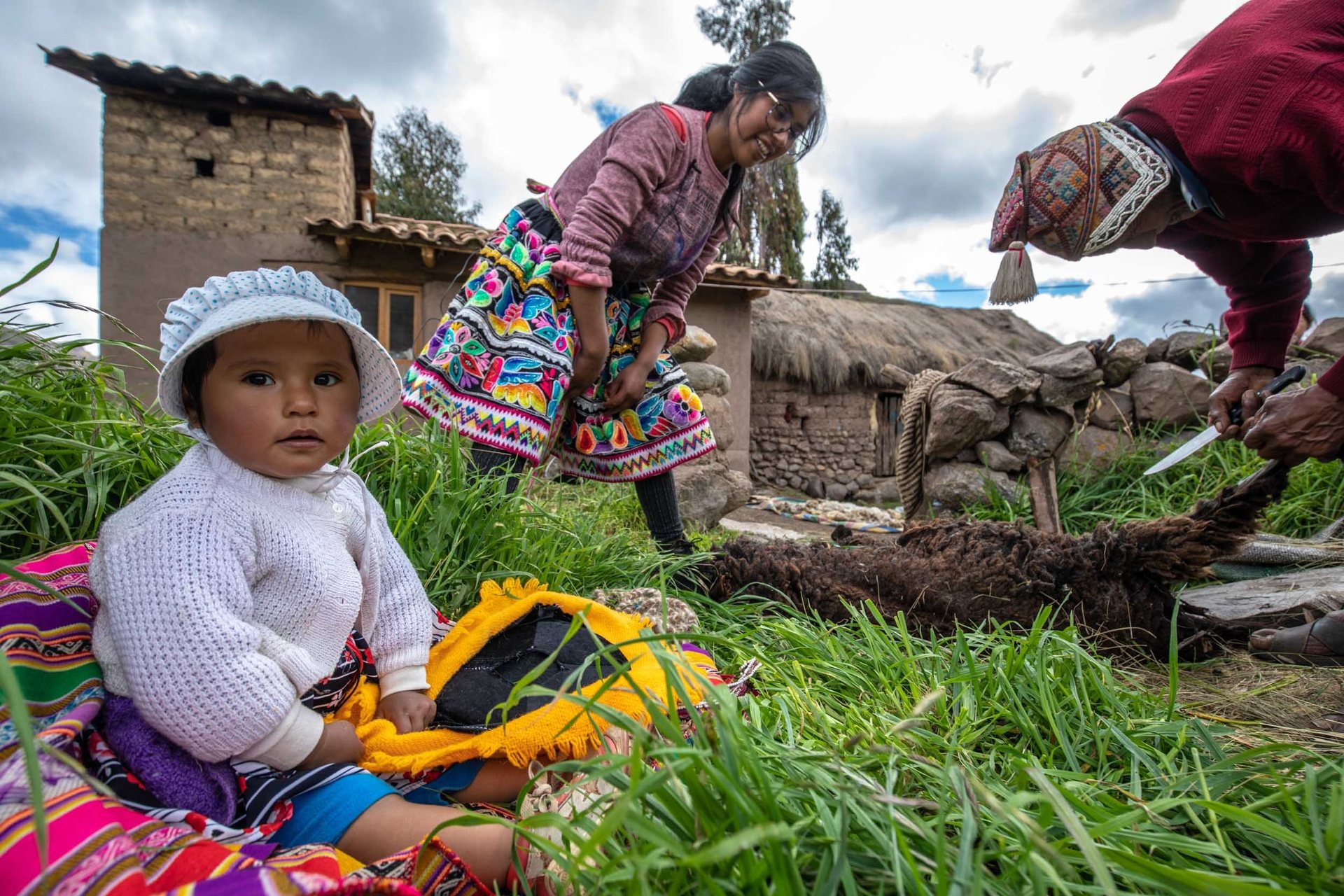 Sonia Mamani, grandfather and baby Mia slaughtering a sheep in Paru Paru.