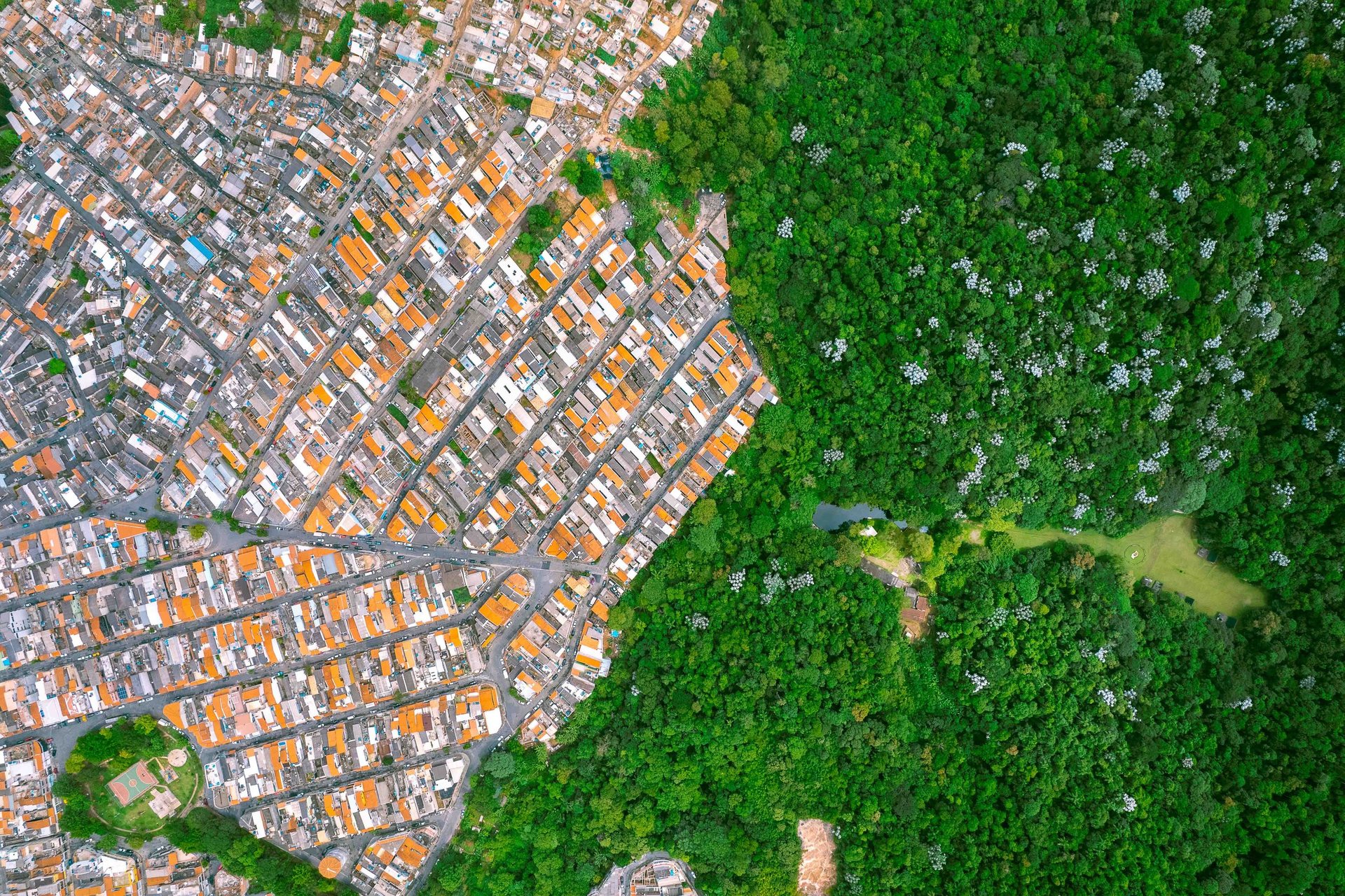 The Jaraguá lands are steadily encroached upon by illegal housing in São Paulo.