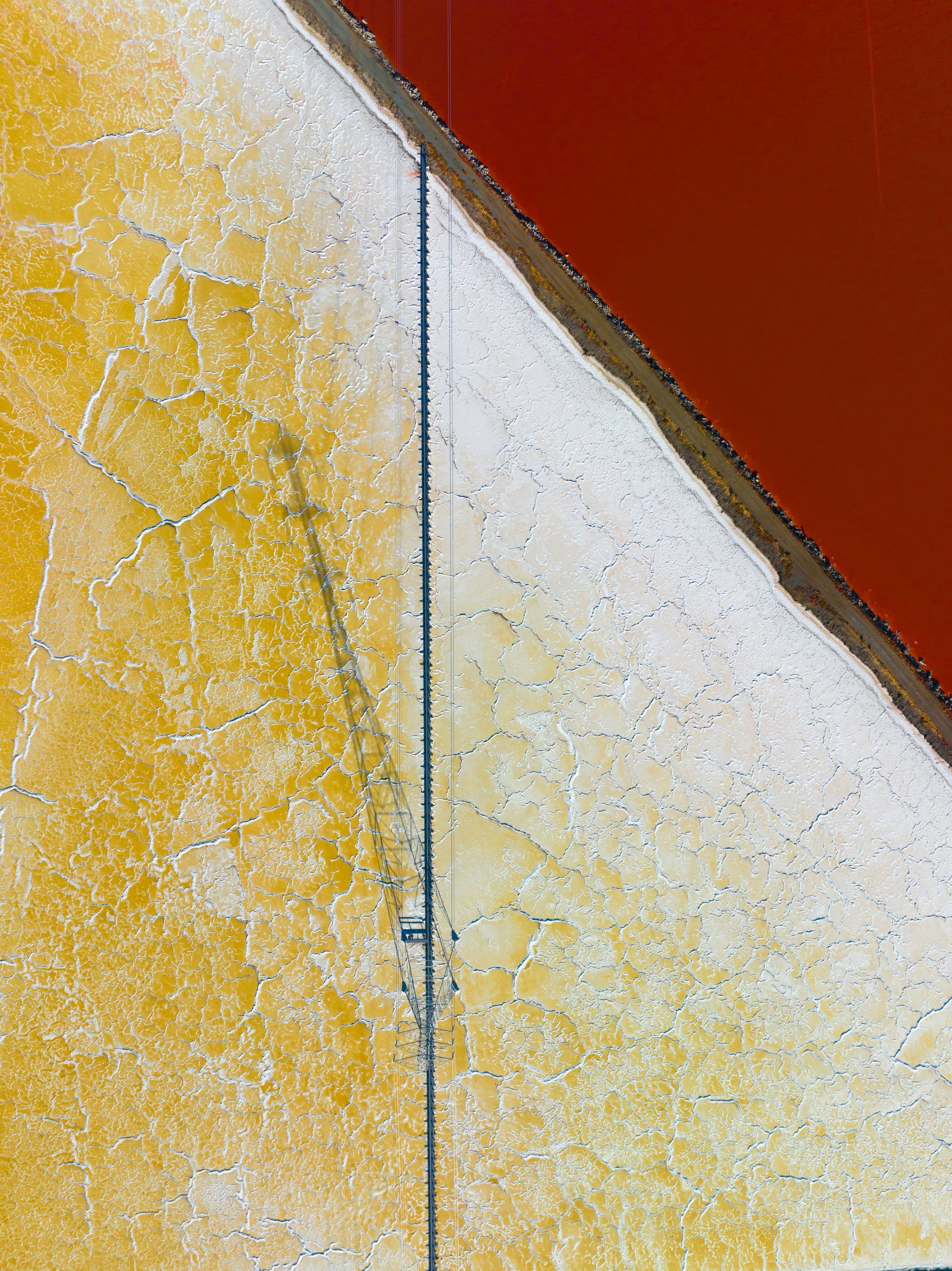 Salt Prints