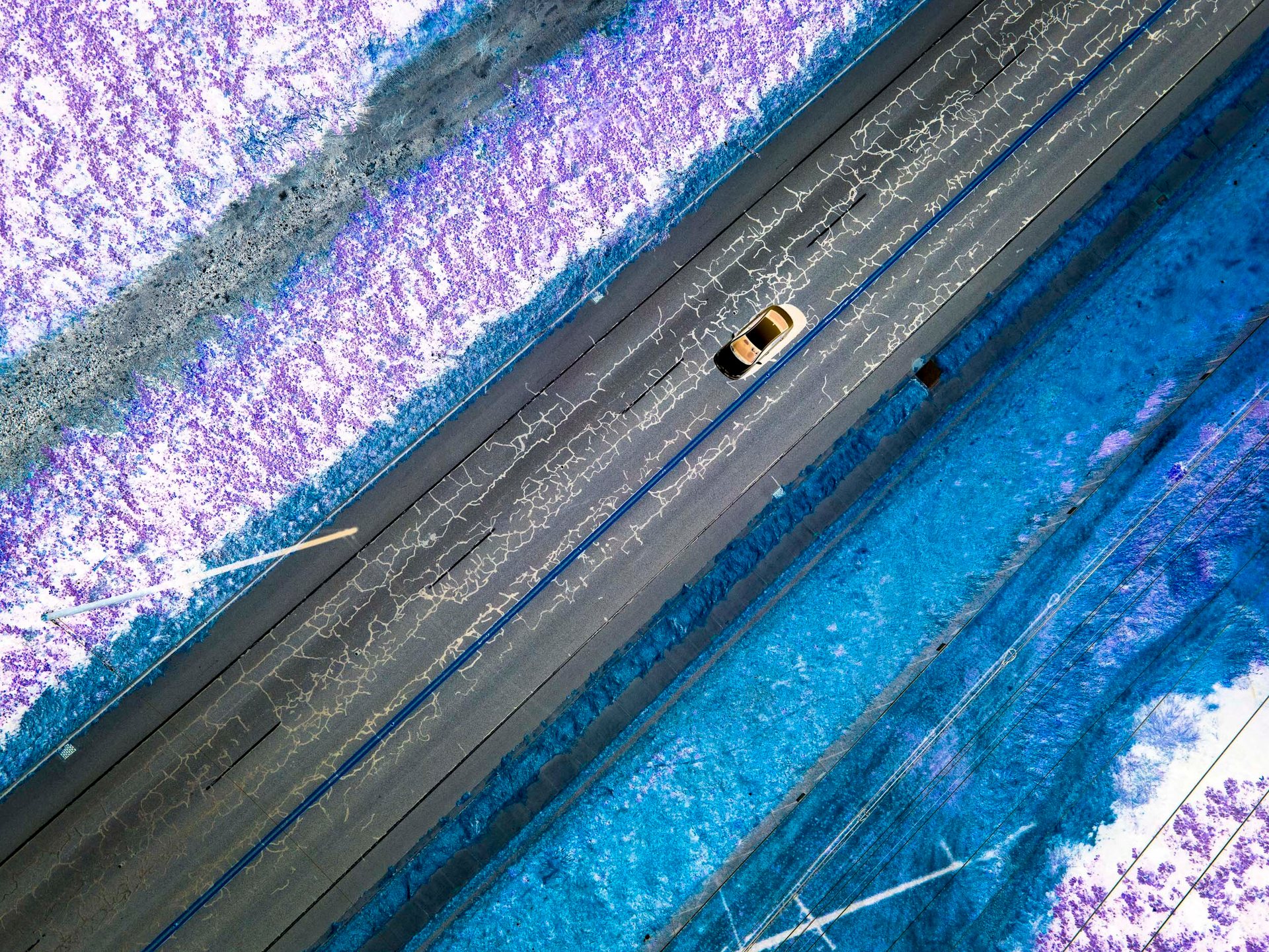 Blue / X-Ray / Unfinished