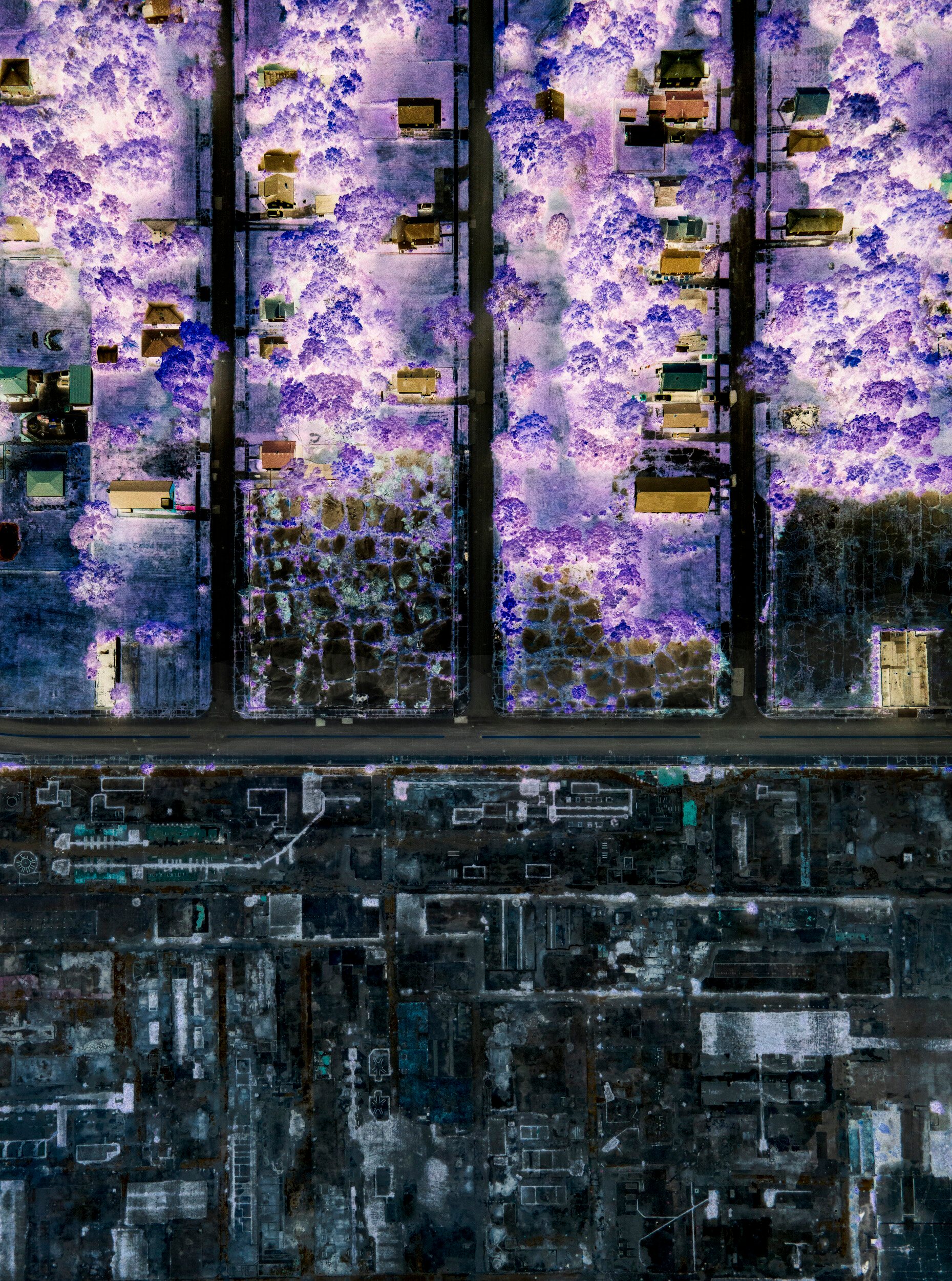 Blue / X-Ray / Unfinished